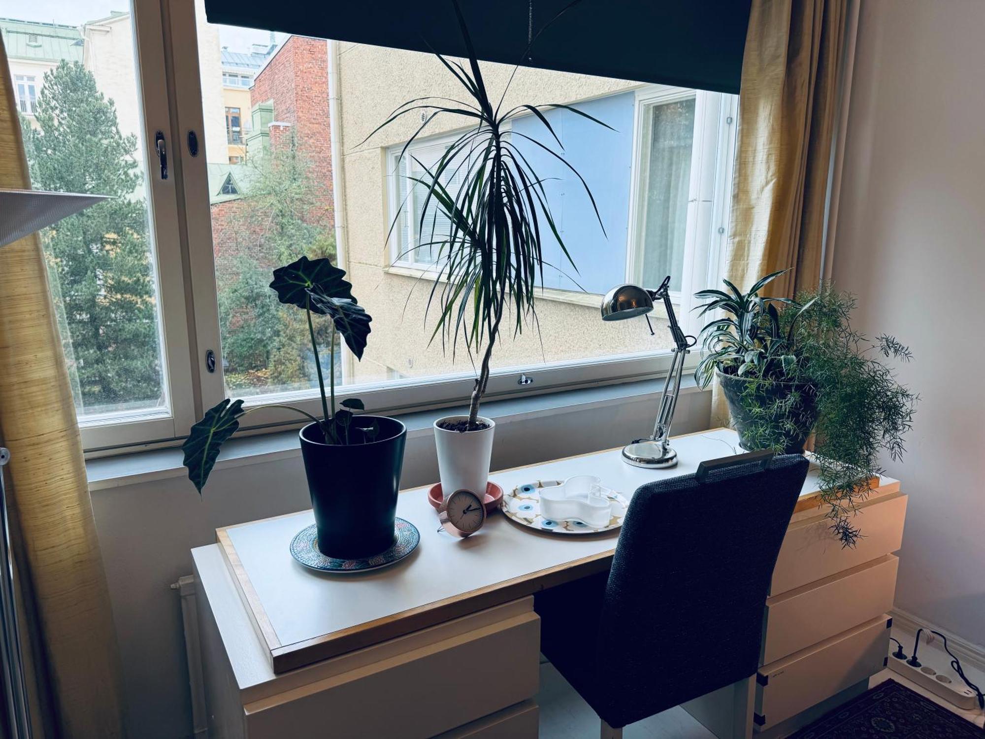 Lovely Apartment, Vuorimiehenkatu 31 ヘルシンキ エクステリア 写真