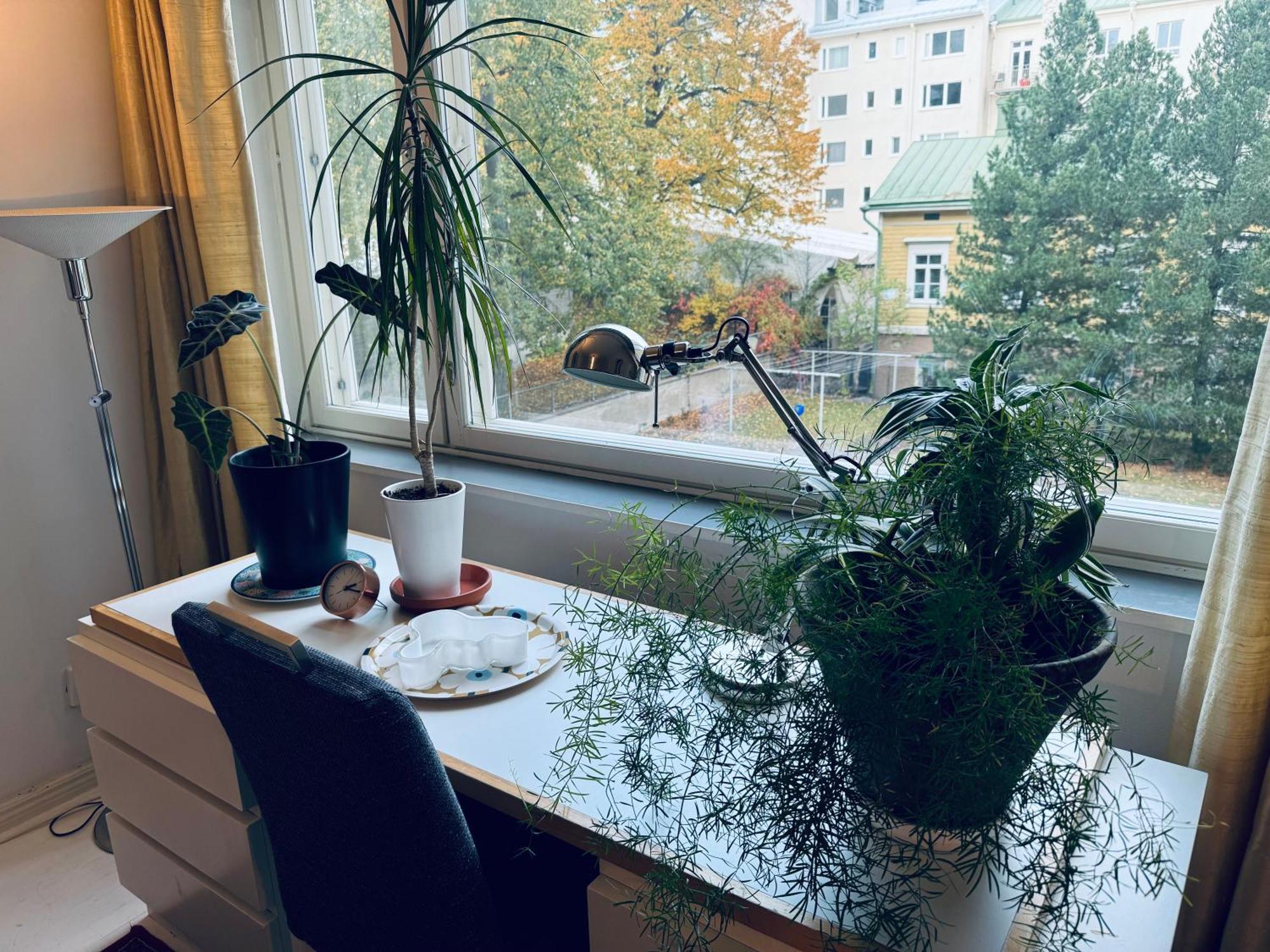 Lovely Apartment, Vuorimiehenkatu 31 ヘルシンキ エクステリア 写真